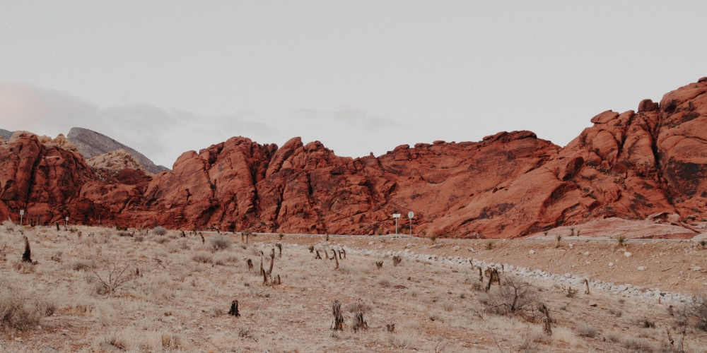 wyjdź, przetrwaj, przejdź, zdjęcie: neonbrand-unsplash CC-0