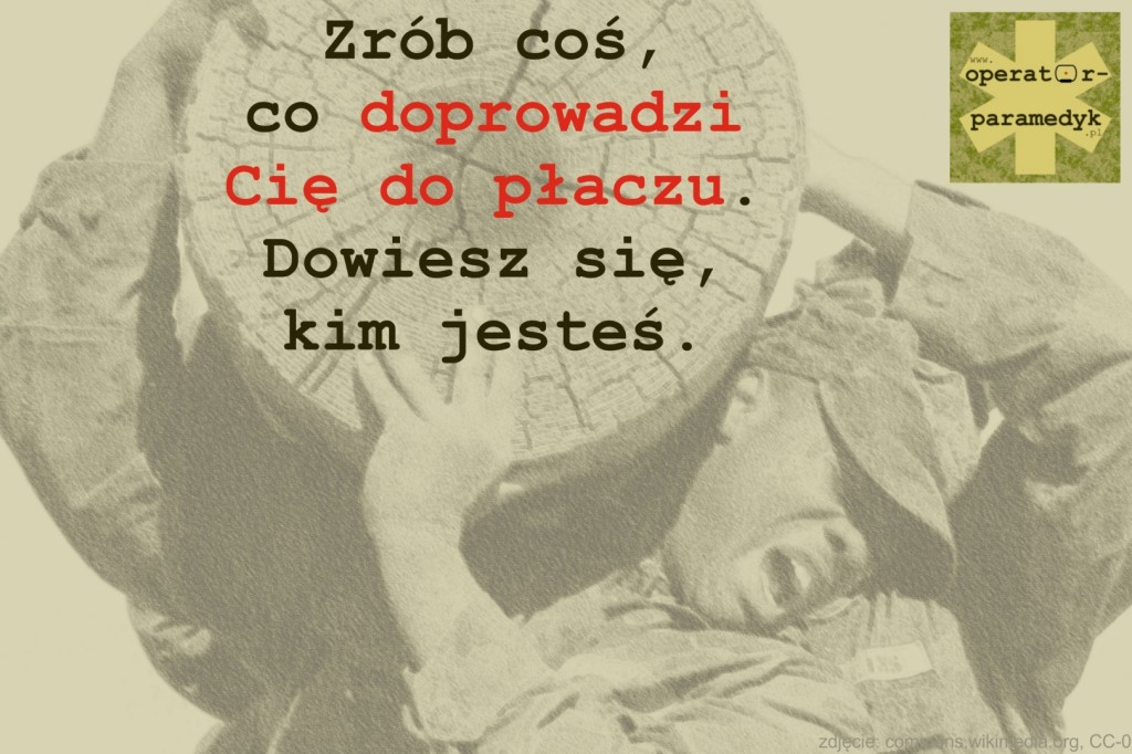 zdjęcie: commons.wikimedia.org, CC-0