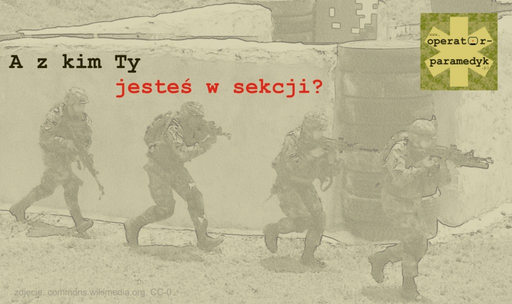 zdjęcie: commons.wikimedia.org, CC-0