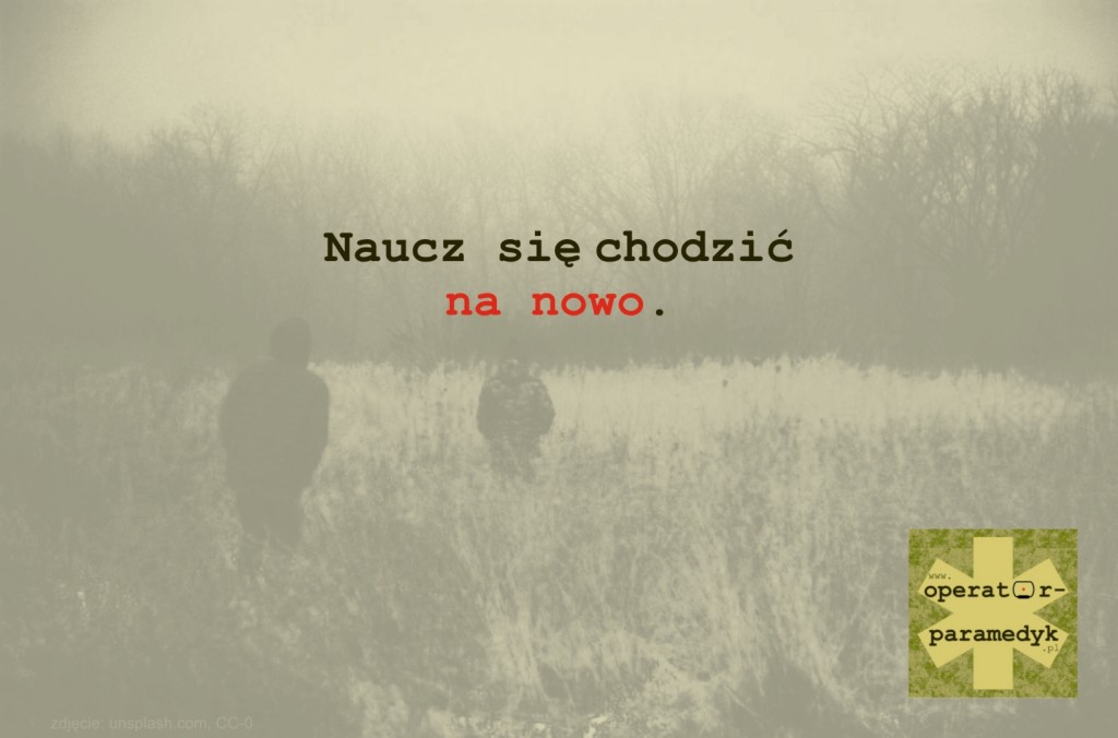 zdjęcie: unsplash.com, CC-0