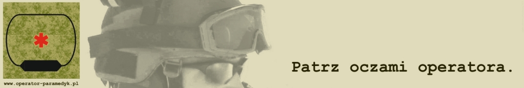 zdjęcie: commons.wikimedia.org, CC-0