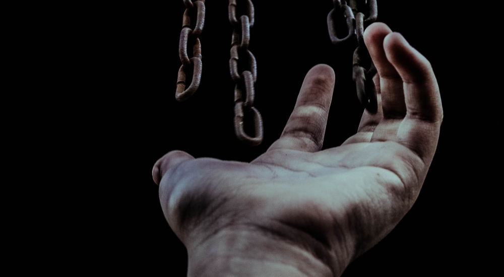 wolnosc, zdjęcie: zulmaury-saavedra-unsplash-CC-0