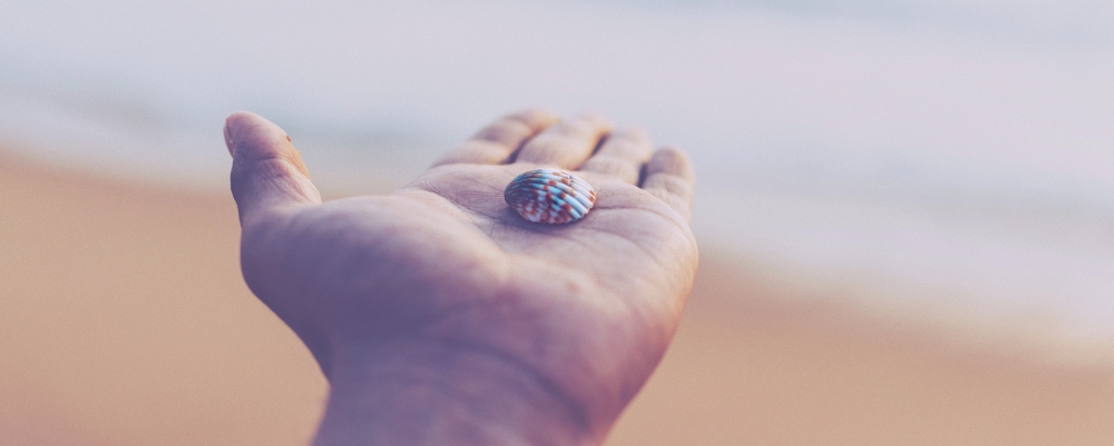 Ewangelia jest dla Ciebie - weź ją, zdjęcie: anunay-mahajan@unsplash.com, CC-0