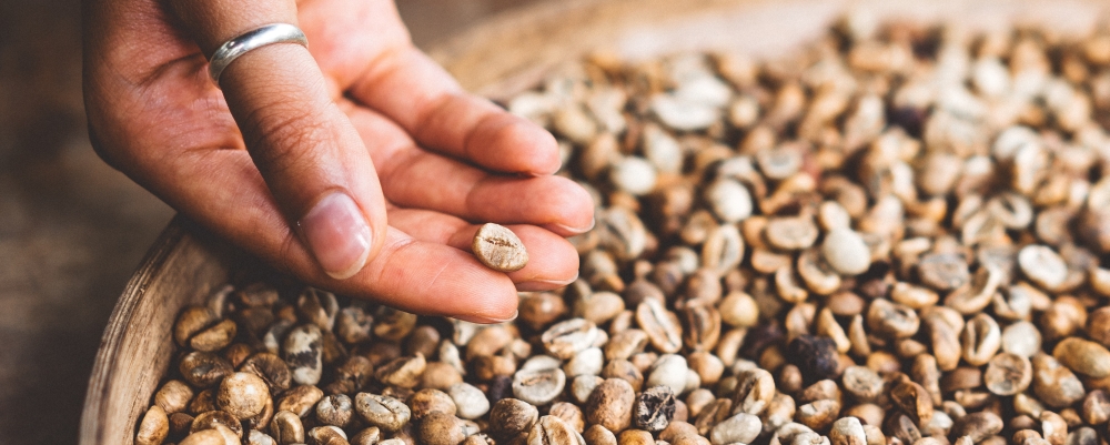 Bóg jest bardzo rozrzutnym siewcą. zdjęcie: joshua-newton@unsplash.com, CC-0