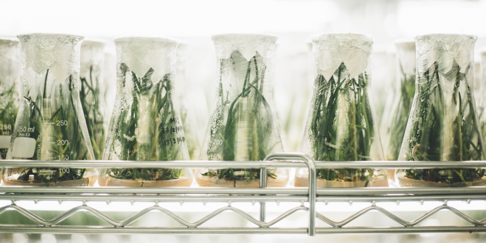 jak napisać publikację? zdjęcie: chuttersnap@unsplash.com, CC-0