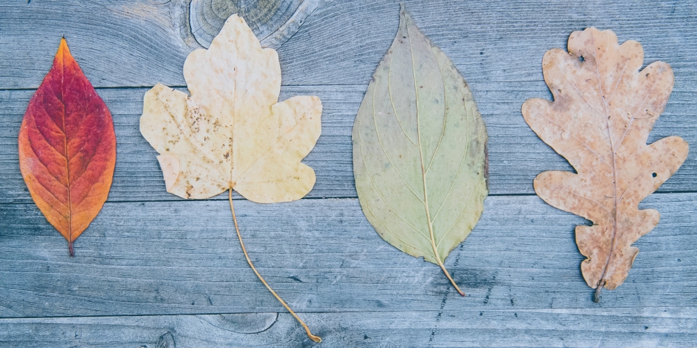 w różnorodności siła Kościoła, zdjęcie: markus-spiske@unsplash.com CC-0