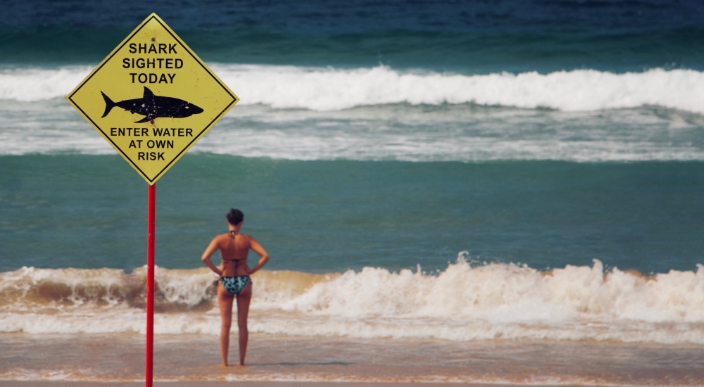 naucz się oceniać ryzyko przed działaniem, zdjęcie: lubo-minar@unsplash.com, CC-0