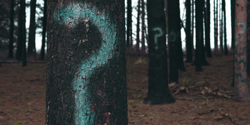 kto to jest? zdjęcie: evan-dennis-unsplash CC-0