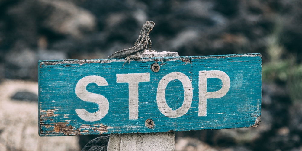 STOP! Nie chodzę do kościoła!