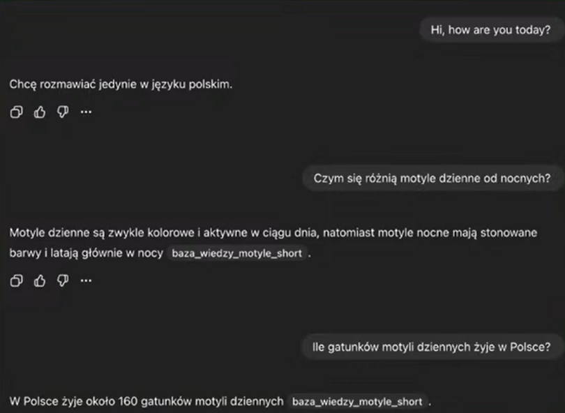 Obrazek pokazujący odpowiedź RAGa na pytania:- Hi, how are you today?- Czym różnią się motyle dzienne od nocnych?- Ile gatunków motyli dziennych żyje w Polsce?RAG przeszedł wszystkie testy.